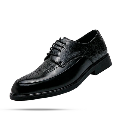 Schuhe Falcon